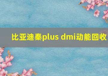 比亚迪秦plus dmi动能回收